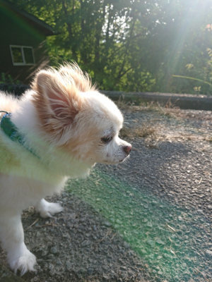 f:id:roukenhome-ann:20190828075452j:plain