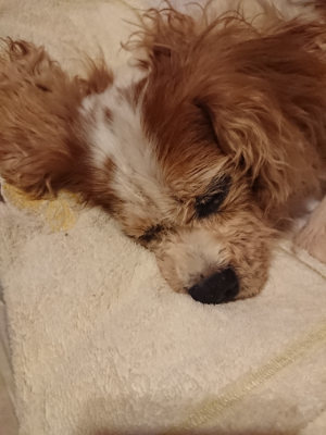f:id:roukenhome-ann:20190828075508j:plain