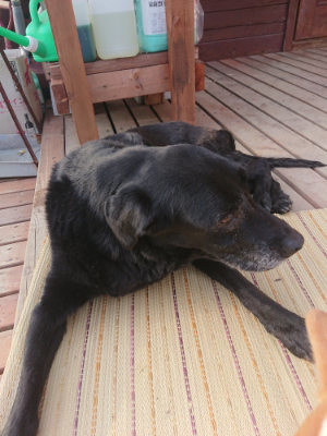 f:id:roukenhome-ann:20190828075543j:plain