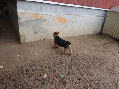 f:id:roukenhome-ann:20190829083224j:plain