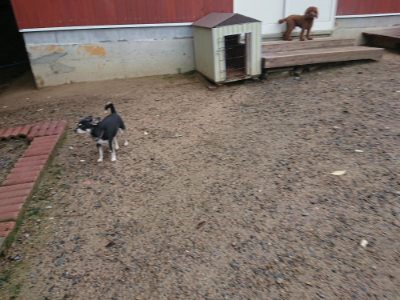 f:id:roukenhome-ann:20190829083609j:plain