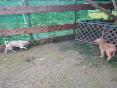 f:id:roukenhome-ann:20190829084250j:plain
