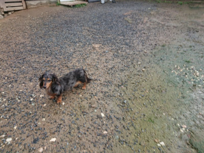 f:id:roukenhome-ann:20190829084315j:plain