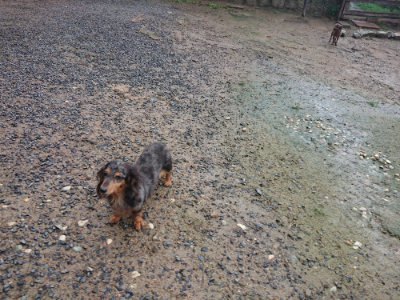f:id:roukenhome-ann:20190829084332j:plain