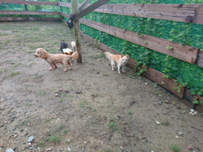 f:id:roukenhome-ann:20190829084351j:plain