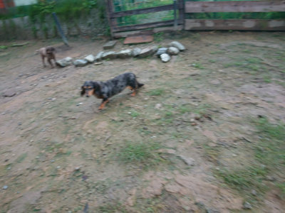 f:id:roukenhome-ann:20190829084601j:plain