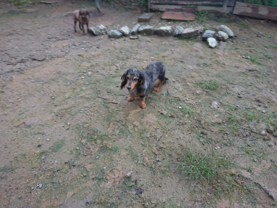 f:id:roukenhome-ann:20190829084632j:plain