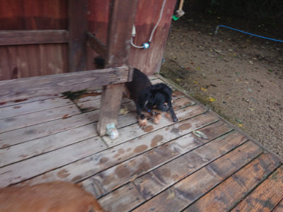 f:id:roukenhome-ann:20190829084650j:plain