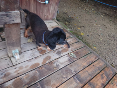 f:id:roukenhome-ann:20190829084711j:plain