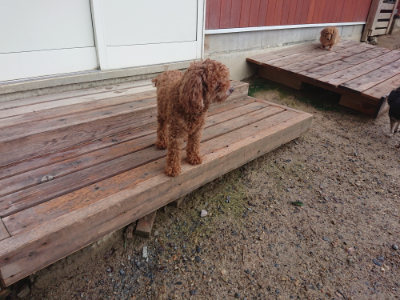 f:id:roukenhome-ann:20190829115318j:plain