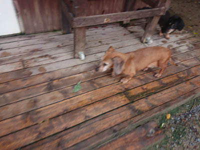 f:id:roukenhome-ann:20190829115343j:plain