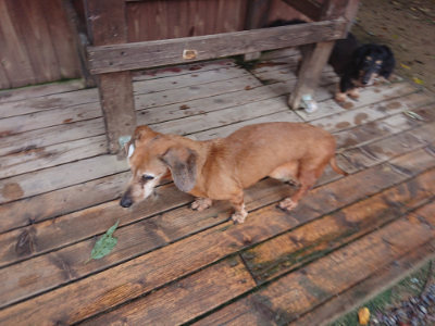 f:id:roukenhome-ann:20190829115348j:plain