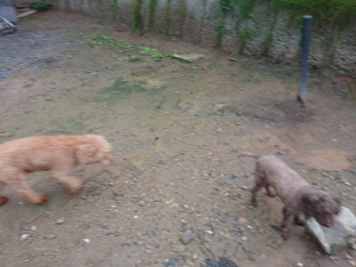 f:id:roukenhome-ann:20190829115422j:plain