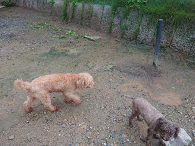 f:id:roukenhome-ann:20190829115429j:plain
