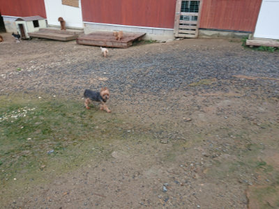 f:id:roukenhome-ann:20190829115434j:plain
