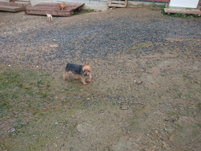 f:id:roukenhome-ann:20190829115439j:plain