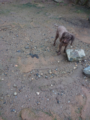f:id:roukenhome-ann:20190829115451j:plain