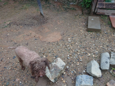 f:id:roukenhome-ann:20190829115458j:plain