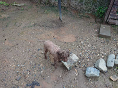 f:id:roukenhome-ann:20190829115503j:plain