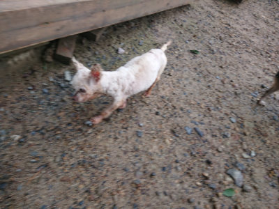 f:id:roukenhome-ann:20190829115512j:plain