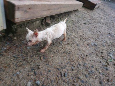 f:id:roukenhome-ann:20190829115517j:plain