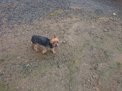 f:id:roukenhome-ann:20190829115523j:plain