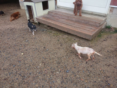 f:id:roukenhome-ann:20190829115548j:plain
