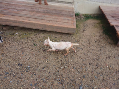f:id:roukenhome-ann:20190829115553j:plain