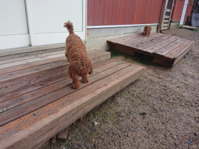 f:id:roukenhome-ann:20190829115617j:plain