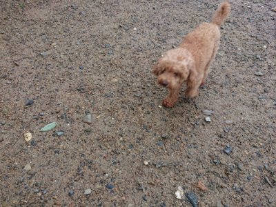 f:id:roukenhome-ann:20190829120035j:plain