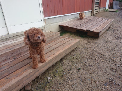 f:id:roukenhome-ann:20190829120045j:plain