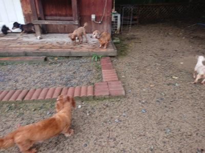 f:id:roukenhome-ann:20190829120050j:plain