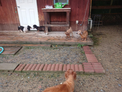 f:id:roukenhome-ann:20190829120054j:plain