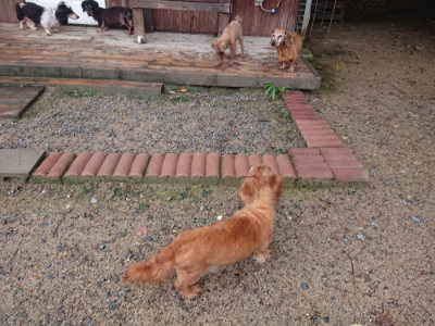 f:id:roukenhome-ann:20190829120123j:plain