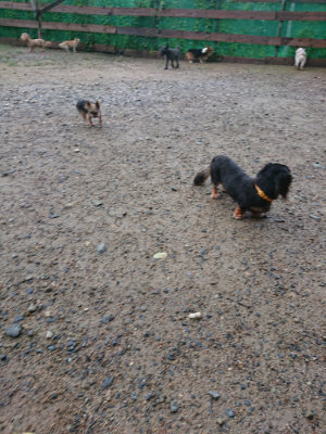 f:id:roukenhome-ann:20190829120134j:plain