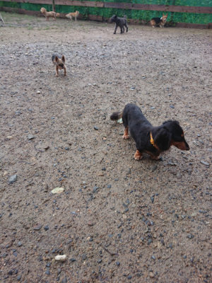 f:id:roukenhome-ann:20190829120141j:plain