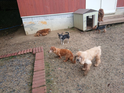 f:id:roukenhome-ann:20190829120206j:plain