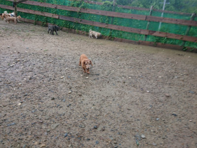 f:id:roukenhome-ann:20190829120230j:plain