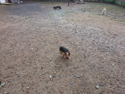 f:id:roukenhome-ann:20190829120245j:plain