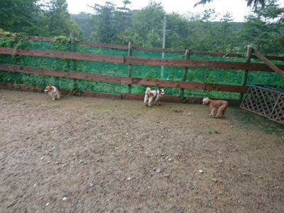 f:id:roukenhome-ann:20190829120252j:plain