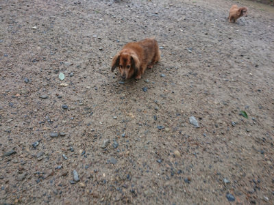 f:id:roukenhome-ann:20190829120308j:plain