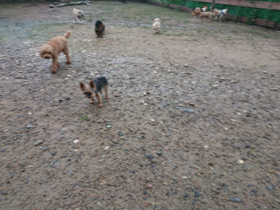 f:id:roukenhome-ann:20190829120413j:plain