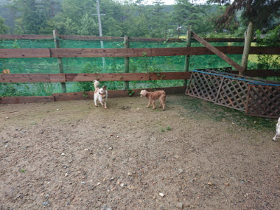 f:id:roukenhome-ann:20190829120419j:plain