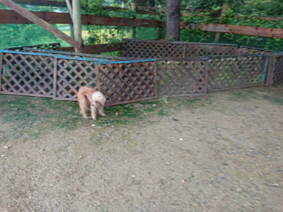 f:id:roukenhome-ann:20190829120454j:plain
