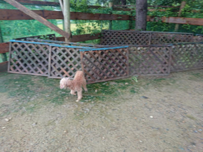 f:id:roukenhome-ann:20190829120458j:plain