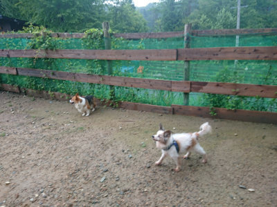 f:id:roukenhome-ann:20190829120504j:plain