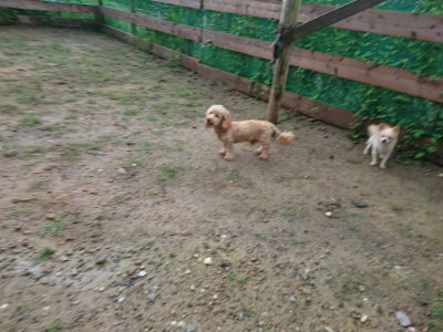 f:id:roukenhome-ann:20190829120517j:plain