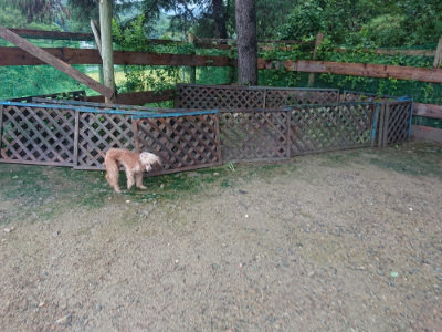f:id:roukenhome-ann:20190829120534j:plain