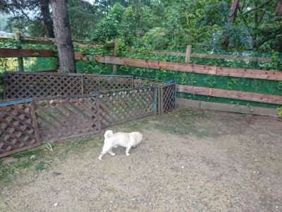 f:id:roukenhome-ann:20190829120550j:plain