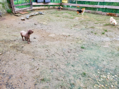 f:id:roukenhome-ann:20190829194753j:plain